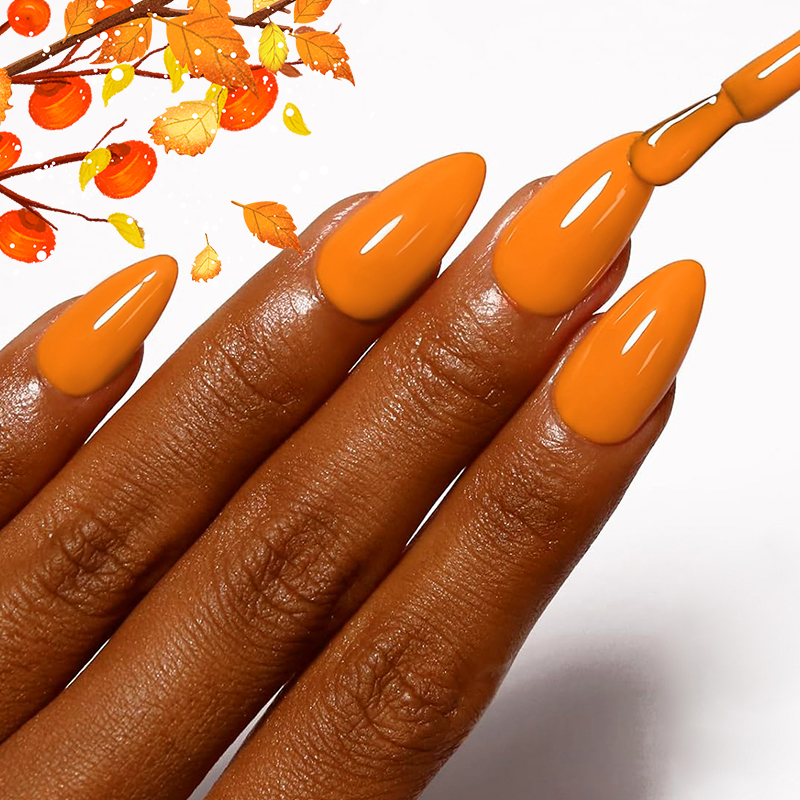 AWStorG 7.5ml 10 Colors Nail G - огляд і ціна Nail Art Orange